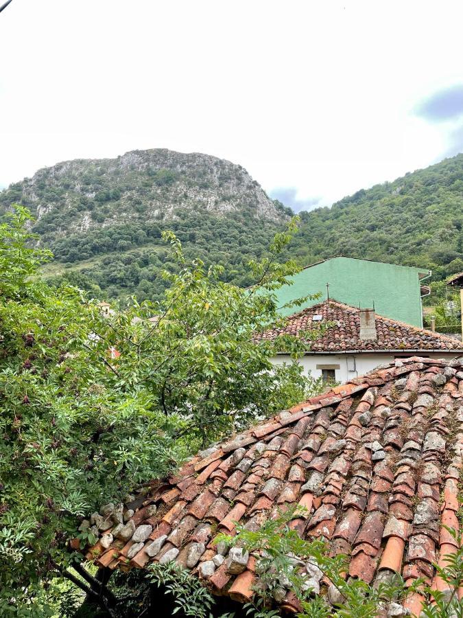 דירות קרניה דה קברלס Piso San Andres - Picos De Europa מראה חיצוני תמונה